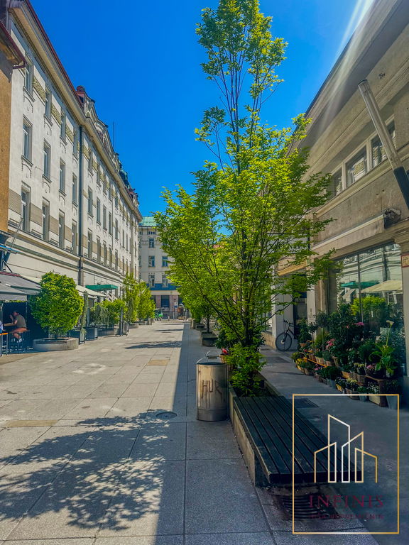 Ljubljana mesto – Center, poslovni prostor – OPPO1007SD